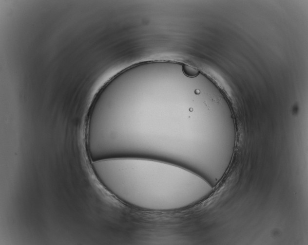 X0000102480952200808081030