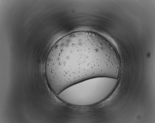 X0000102480953200808081030