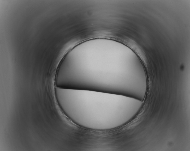 X0000102480954200808081030