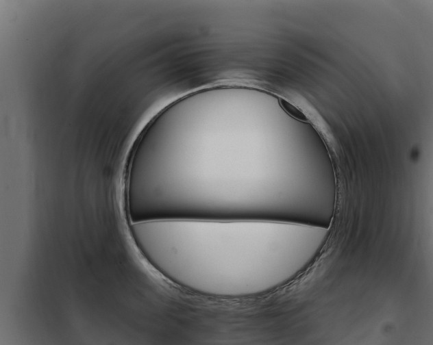 X0000102480955200808081030