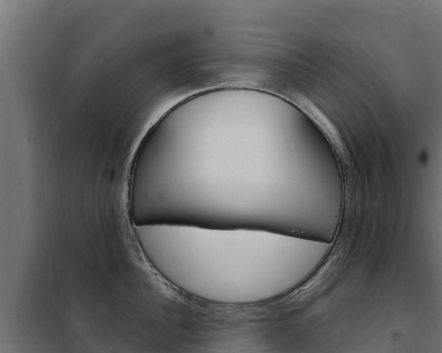 X0000102480956200808081030