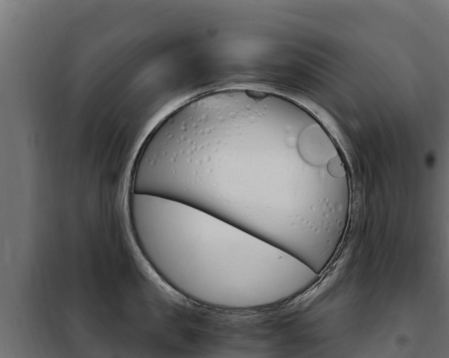 X0000102480957200808081030