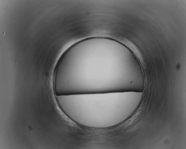 X0000102480958200808081030