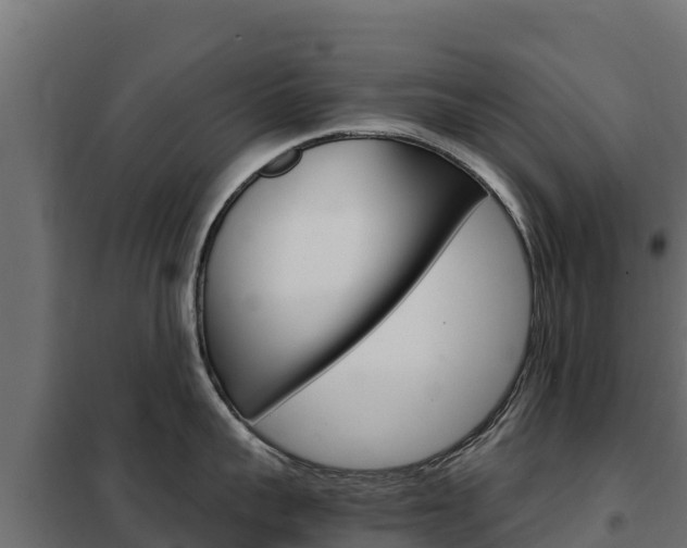 X0000102480959200808081030