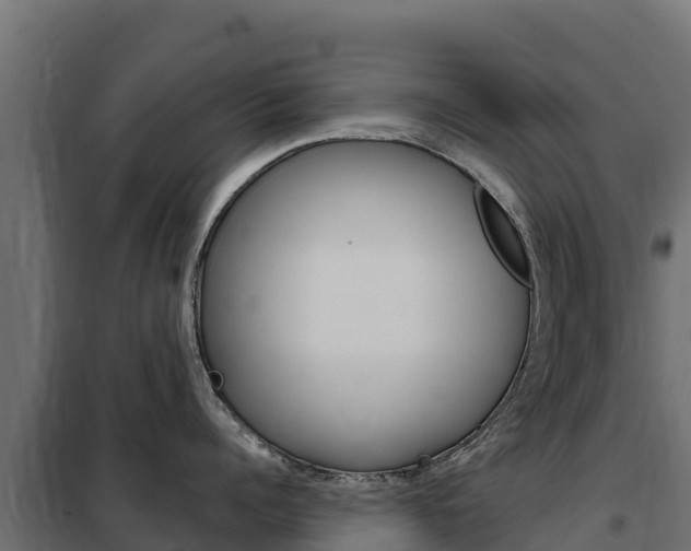 X0000102480960200808081030