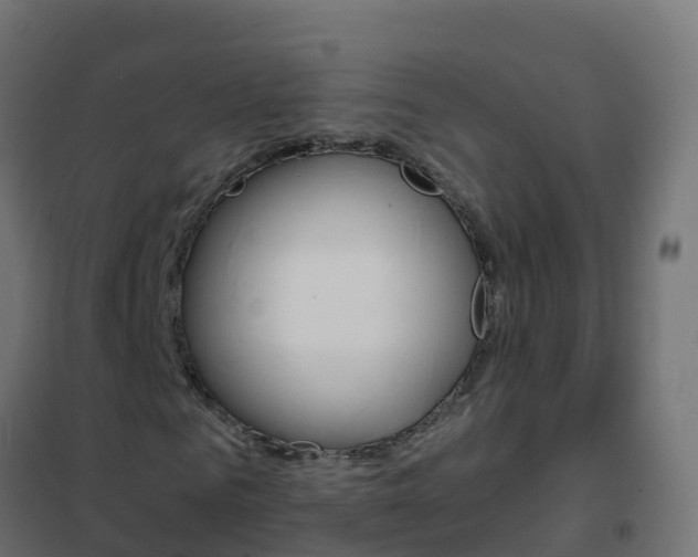 X0000102480961200808081029