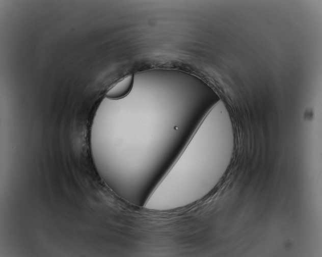 X0000102480964200808081029