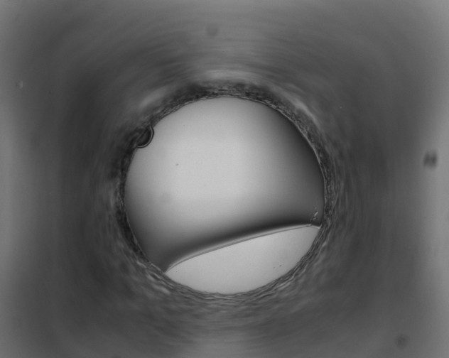 X0000102480965200808081029