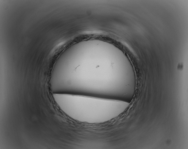 X0000102480967200808081029