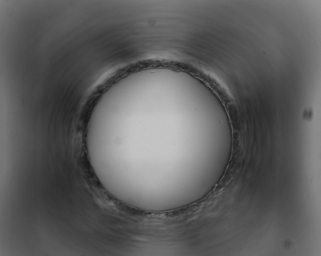X0000102480968200808081029