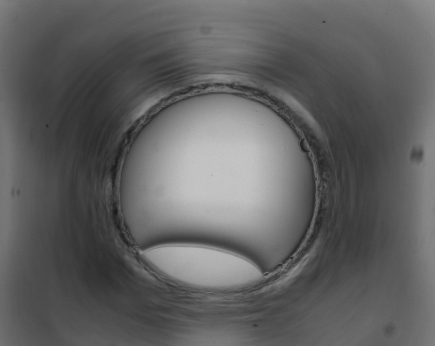 X0000102480969200808081029