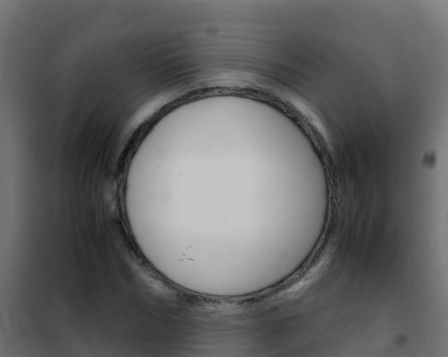 X0000102480970200808081029