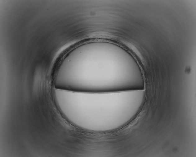 X0000102480971200808081029