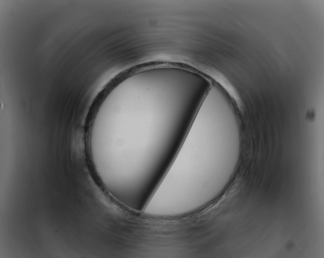 X0000102480972200808081029