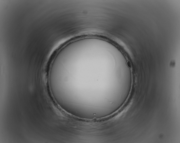 X0000102480973200808081029
