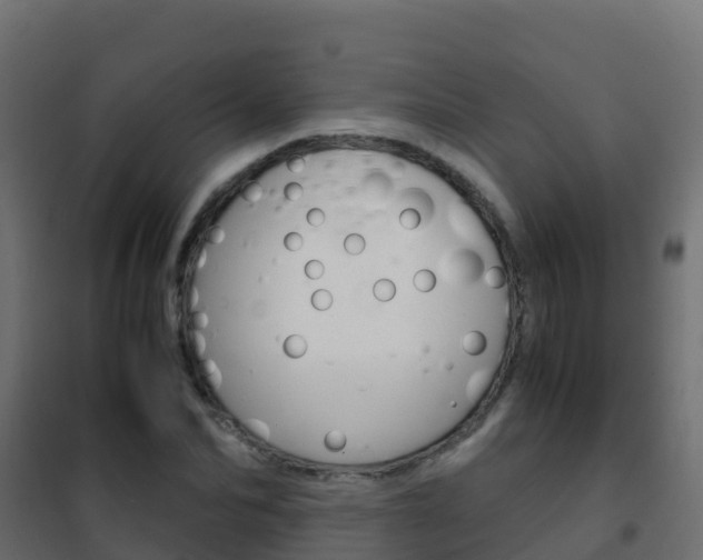 X0000102480974200808081029