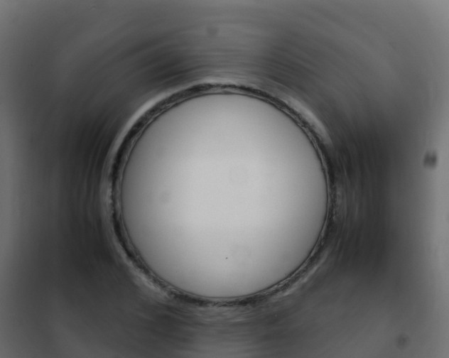 X0000102480976200808081029