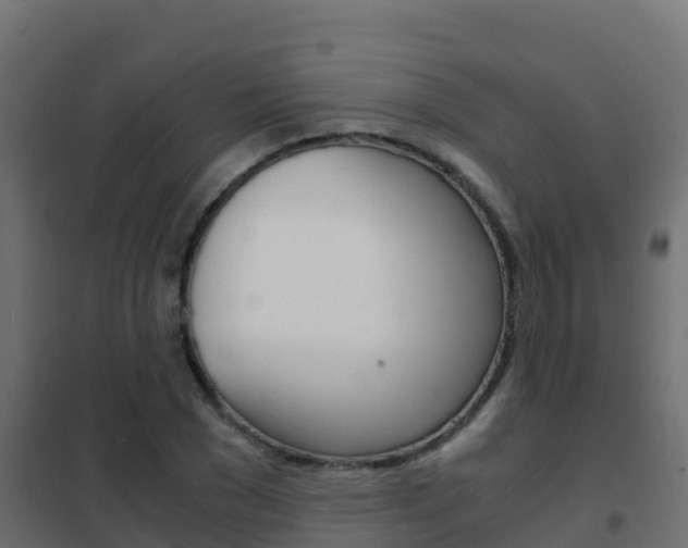 X0000102480977200808081029