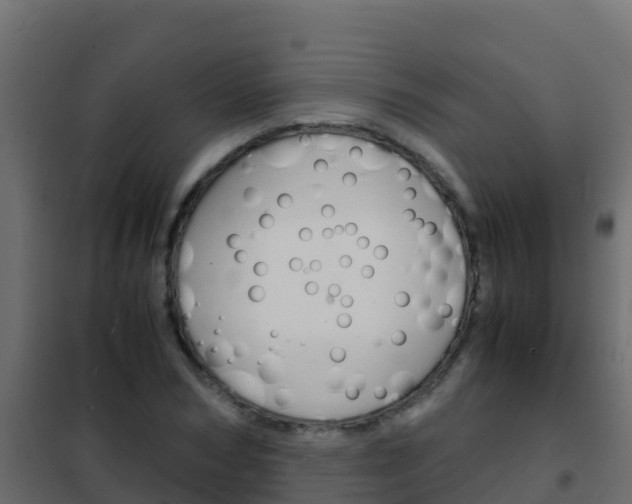 X0000102480978200808081029