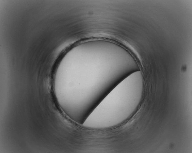 X0000102480979200808081029