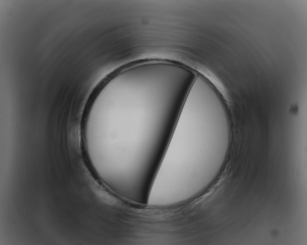 X0000102480980200808081029