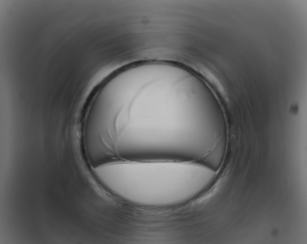 X0000102480981200808081029