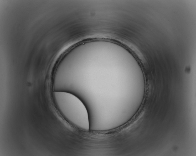 X0000102480982200808081029
