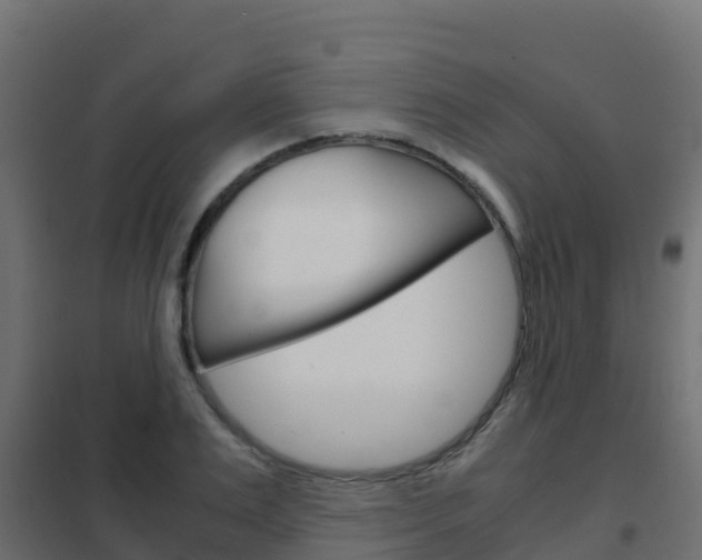 X0000102480983200808081029