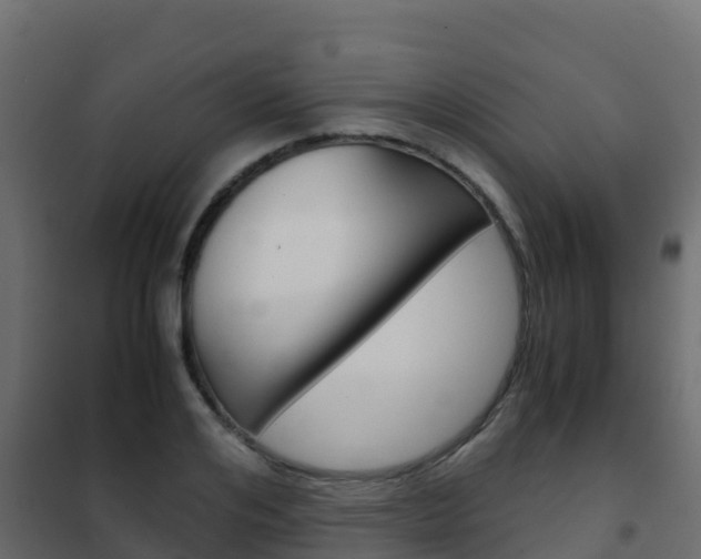 X0000102480984200808081029