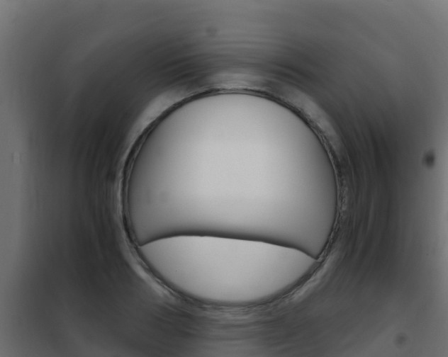 X0000102480986200808081029