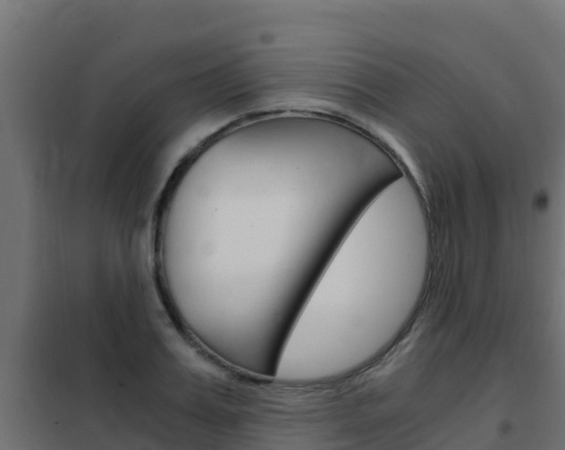 X0000102480987200808081029