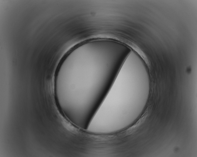 X0000102480988200808081029