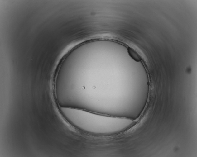 X0000102480989200808081029