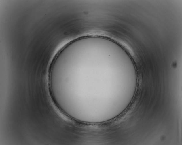 X0000102480990200808081029