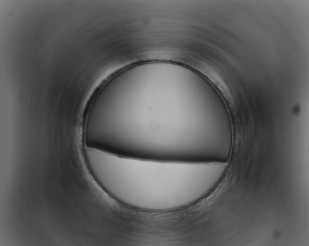 X0000102480992200808081029
