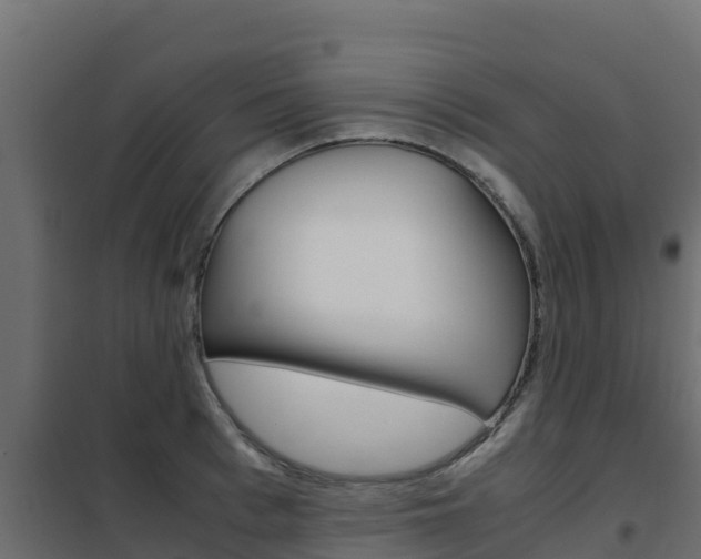 X0000102480993200808081029