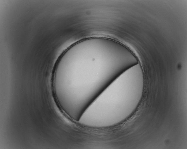 X0000102480995200808081029