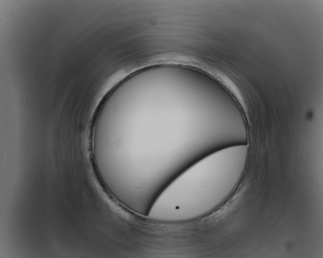 X0000102480997200808081028
