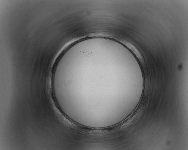 X0000102481000200808081028