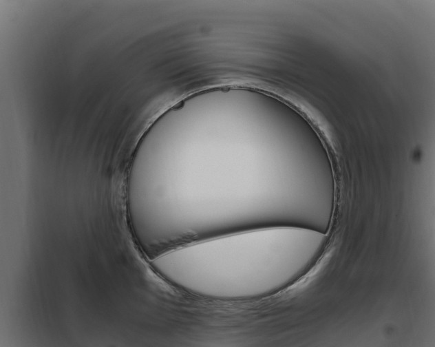 X0000102481001200808081028