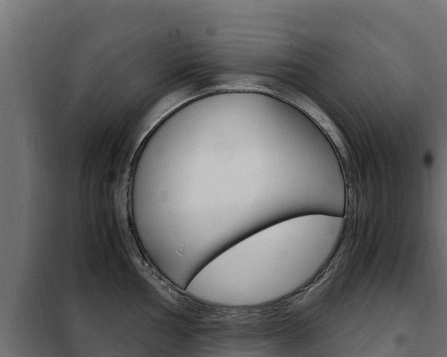 X0000102481002200808081028