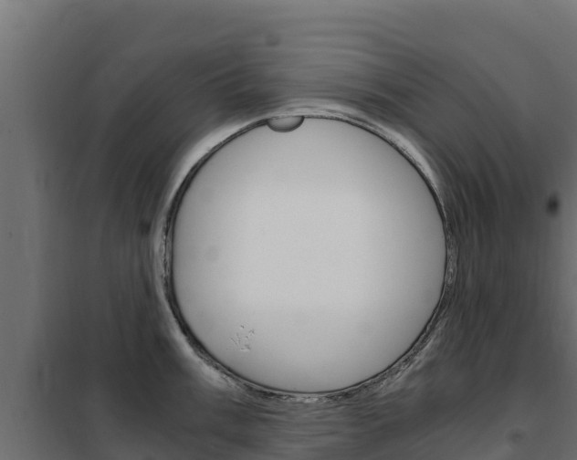 X0000102481003200808081028