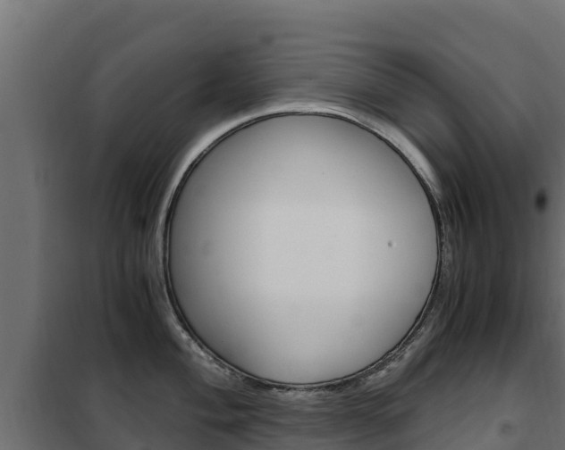 X0000102481004200808081028