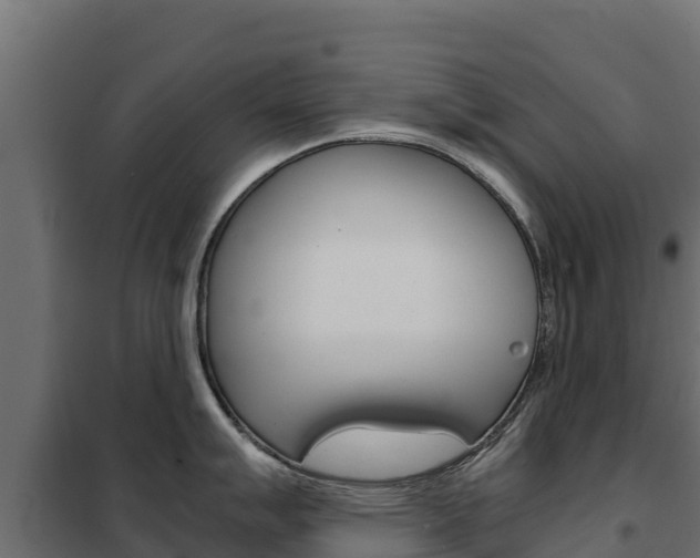 X0000102481007200808081028