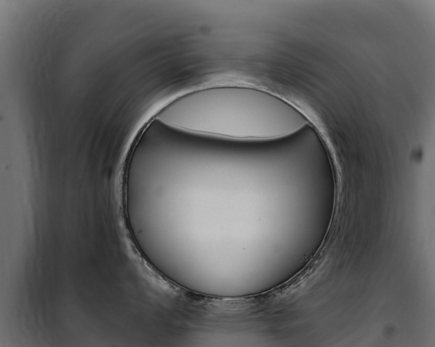 X0000102481008200808081028