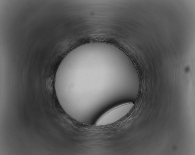 X0000102481010200808081027