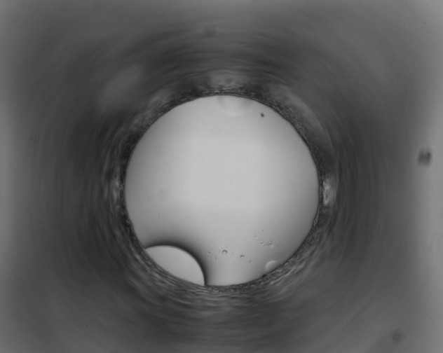 X0000102481011200808081027