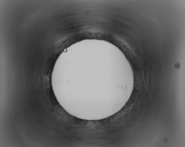 X0000102481013200808081027