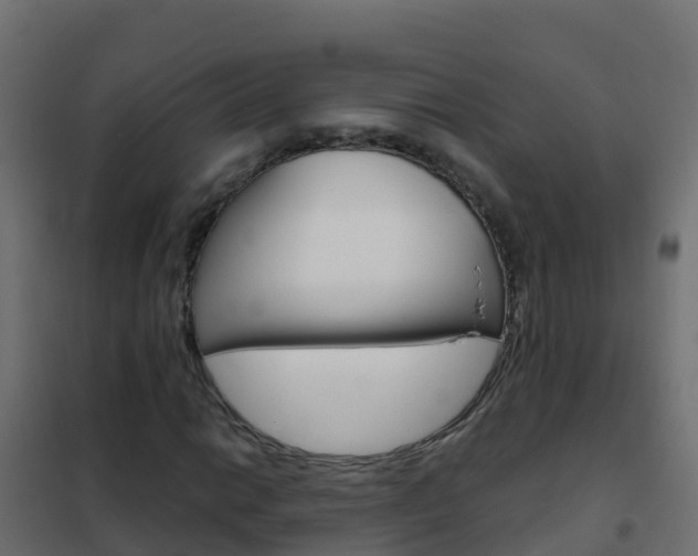 X0000102481014200808081028