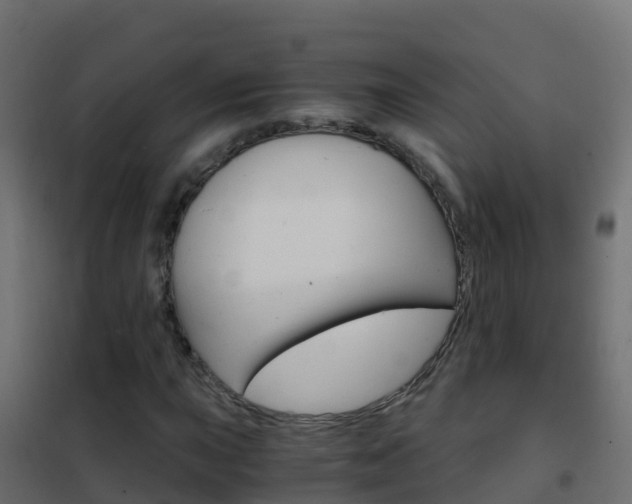 X0000102481015200808081028